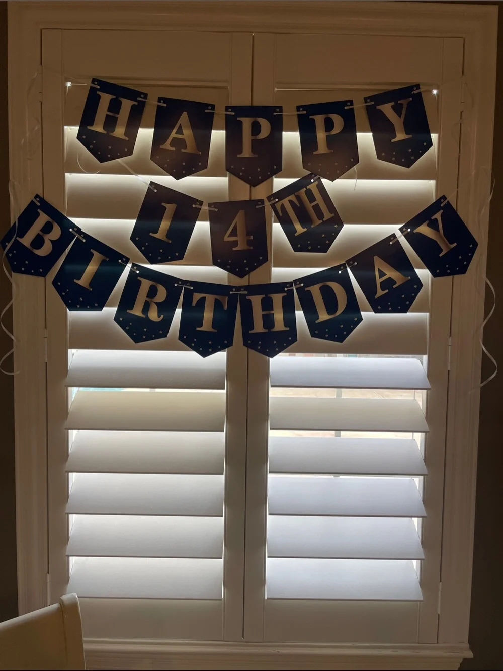 Blue 'Bruh I'm 14' Birthday Backdrop Banner